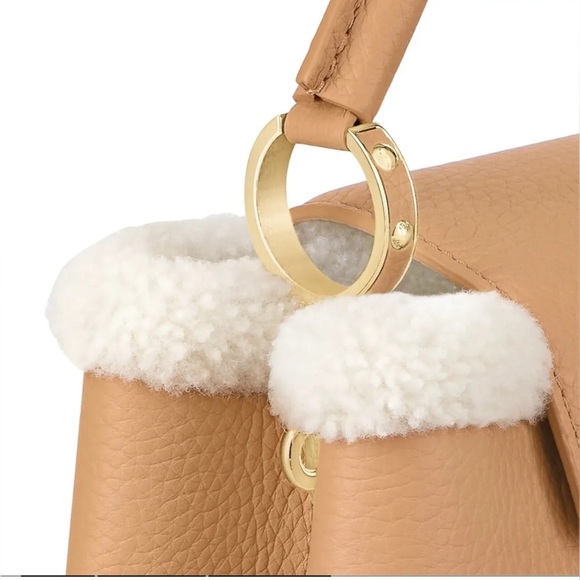 Limited Edition Louis Vuitton Capucines BB Bag - Picture 4 of 10